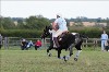 UKPA  NC Sat_1443